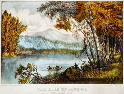 Hues of autumn: on the Racquet River