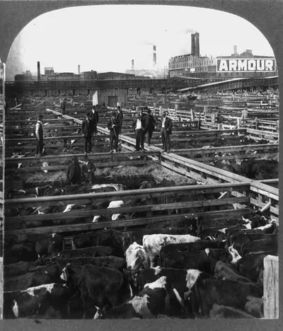 [In the heart of the Great Union Stock Yards, Chicago, U.S.A.]