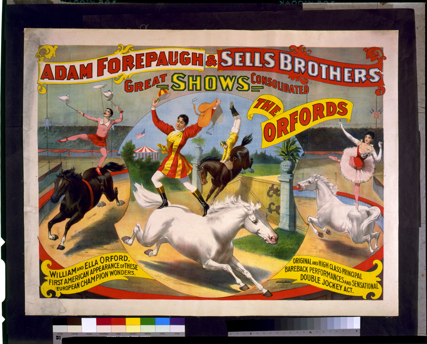 Adam Forepaugh & Sells Brothers great shows consolidated. The Oxfords. William and Ella Orford. ... Original and high class principal bareback performances and sensational double jockey act, c1897. — vintage poster