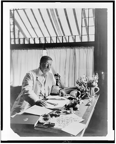 [Pres. Theodore Roosevelt, half-length portrait, seated at desk, facing right]