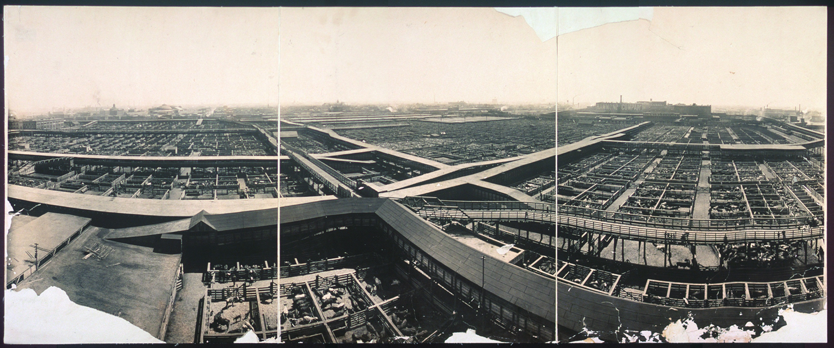 Union Stock Yards, Chicago, Illinois, 1907, 1907 — historic image
