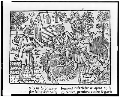 [Farmers harvesting crops]