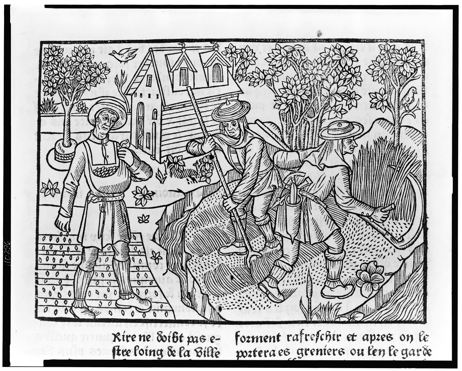 [Farmers harvesting crops] — historic print