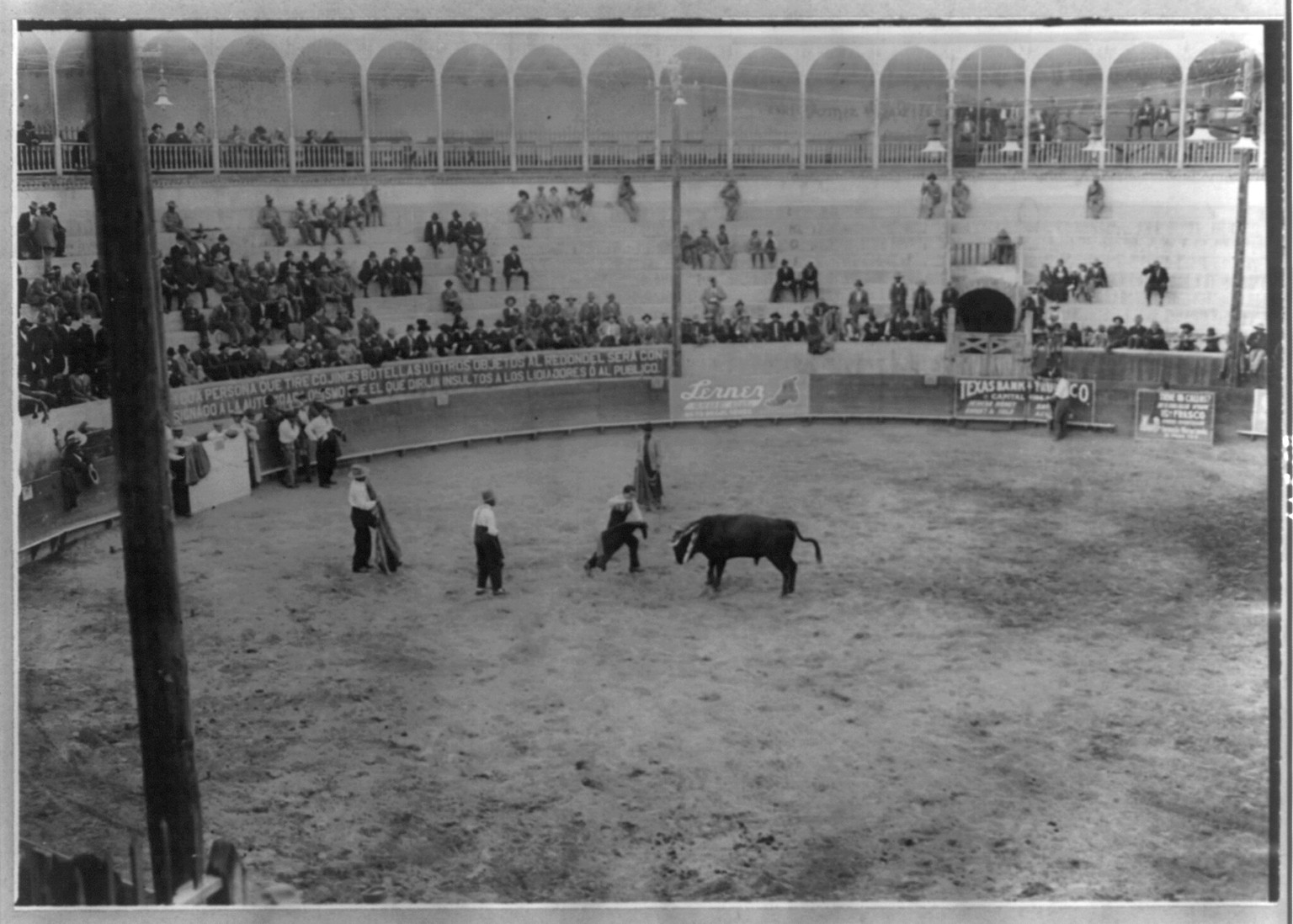 Bull fight, Mexico: matador and bull in arena; bull's head is to left., [no date recorded on caption card] — historic photograph