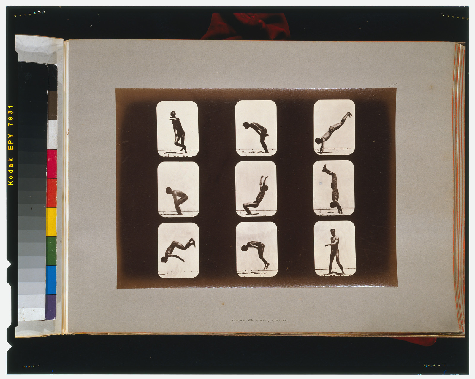 Athletes. Irregular, [San Francisco] : Muybridge, c1881. — historic photograph
