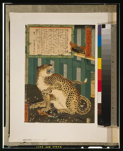 Konjaku miken seibutsu moko no shinzuTITLE TRANSLATION:Changing times bring unseen things - true picture of a tiger.