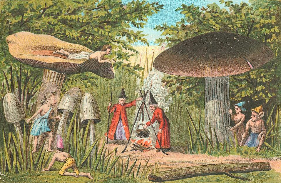 Fairies and elves among giant mushrooms in a forest — historic image