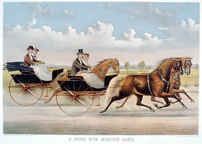 A brush with Webster Carts