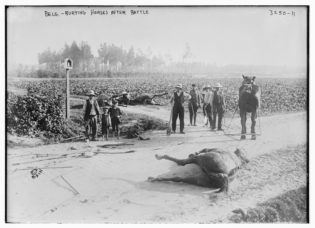 Belg. -- burying horses after battle, n/a — historic photograph