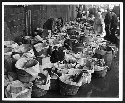 Fish orders packed in baskets at a market