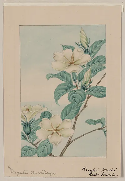 [Japanese drawing]