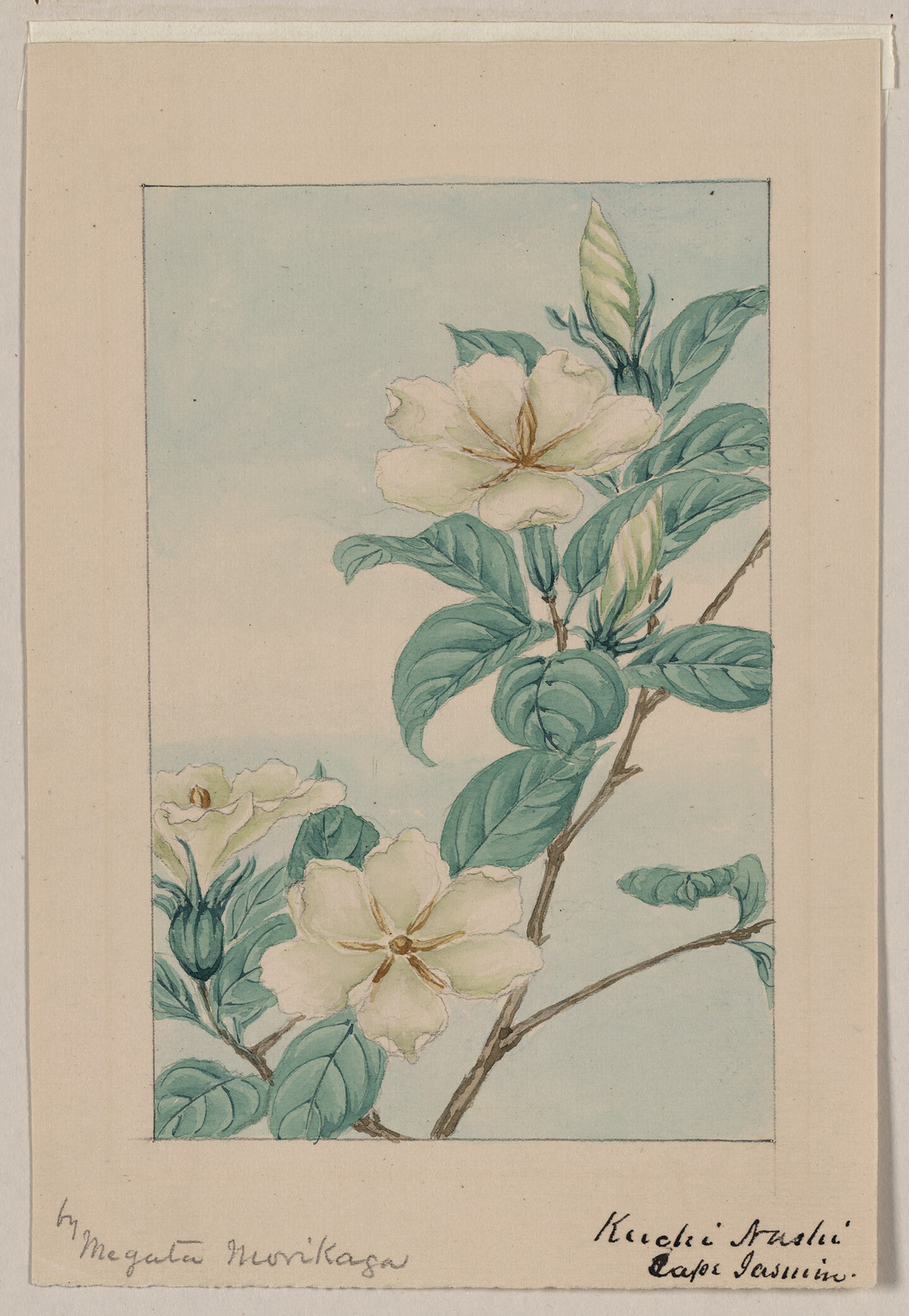 [Japanese drawing], 1750 — historic drawing