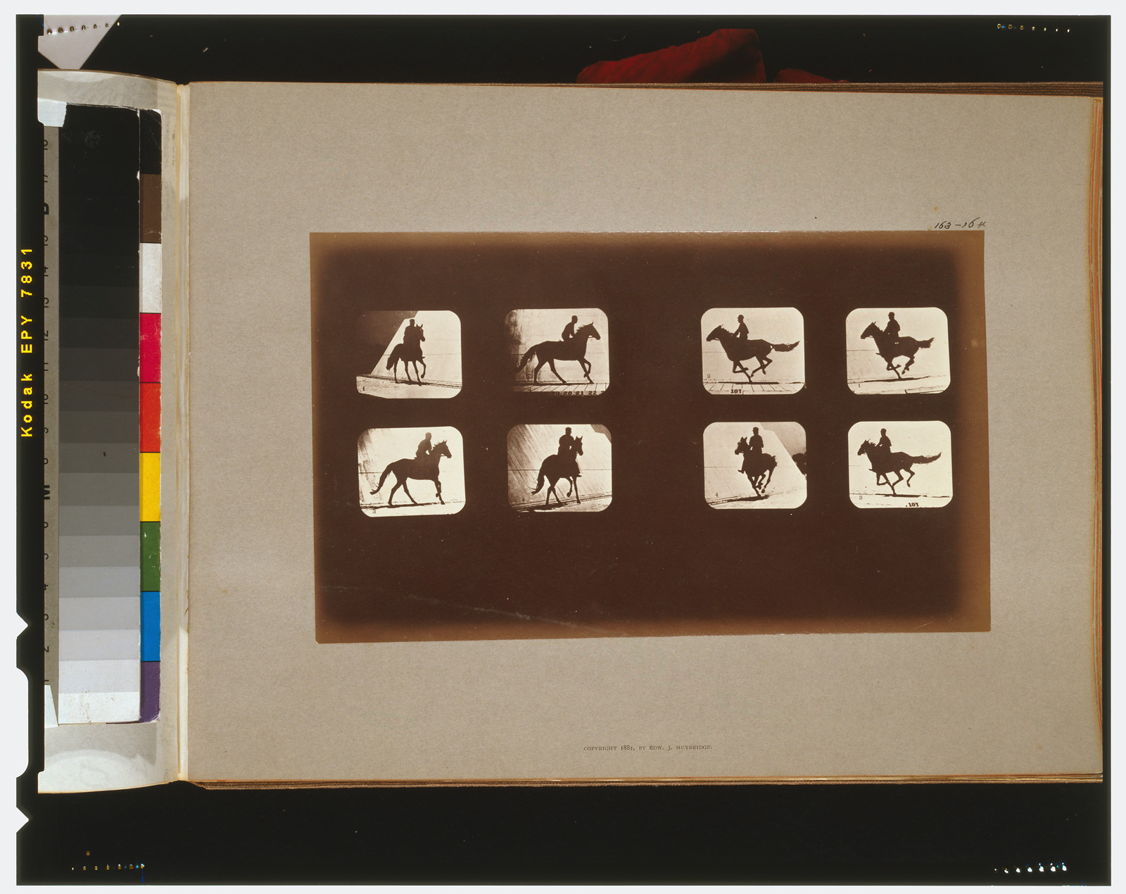 Horses. Running, [San Francisco] : Muybridge, c1881. — historic photograph