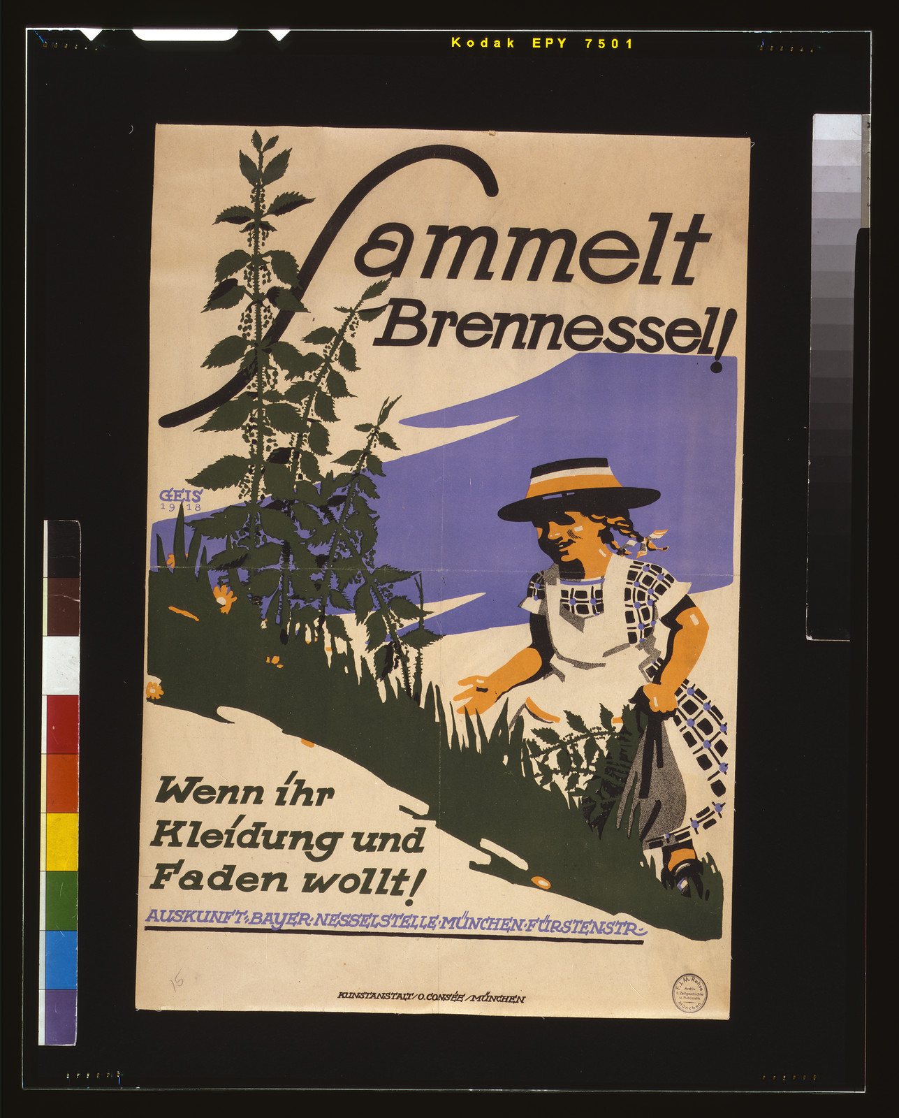 Sammelt Brennessel! Wenn ihr Kleidung und Faden wollt! / Geis 1918., 1918 — vintage poster