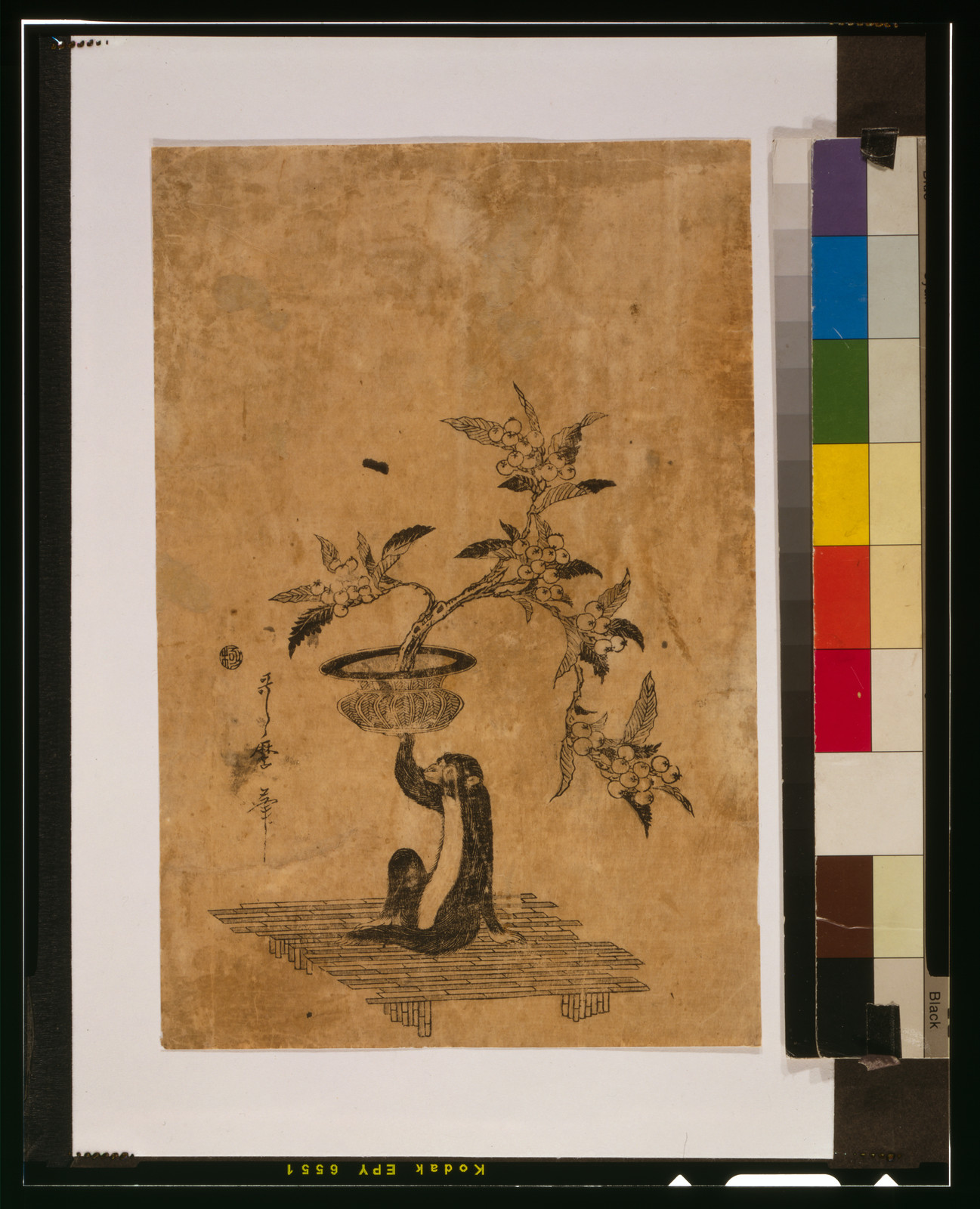 Saru no hanaike ni biwa, [between 1807 and 1812] — historic print