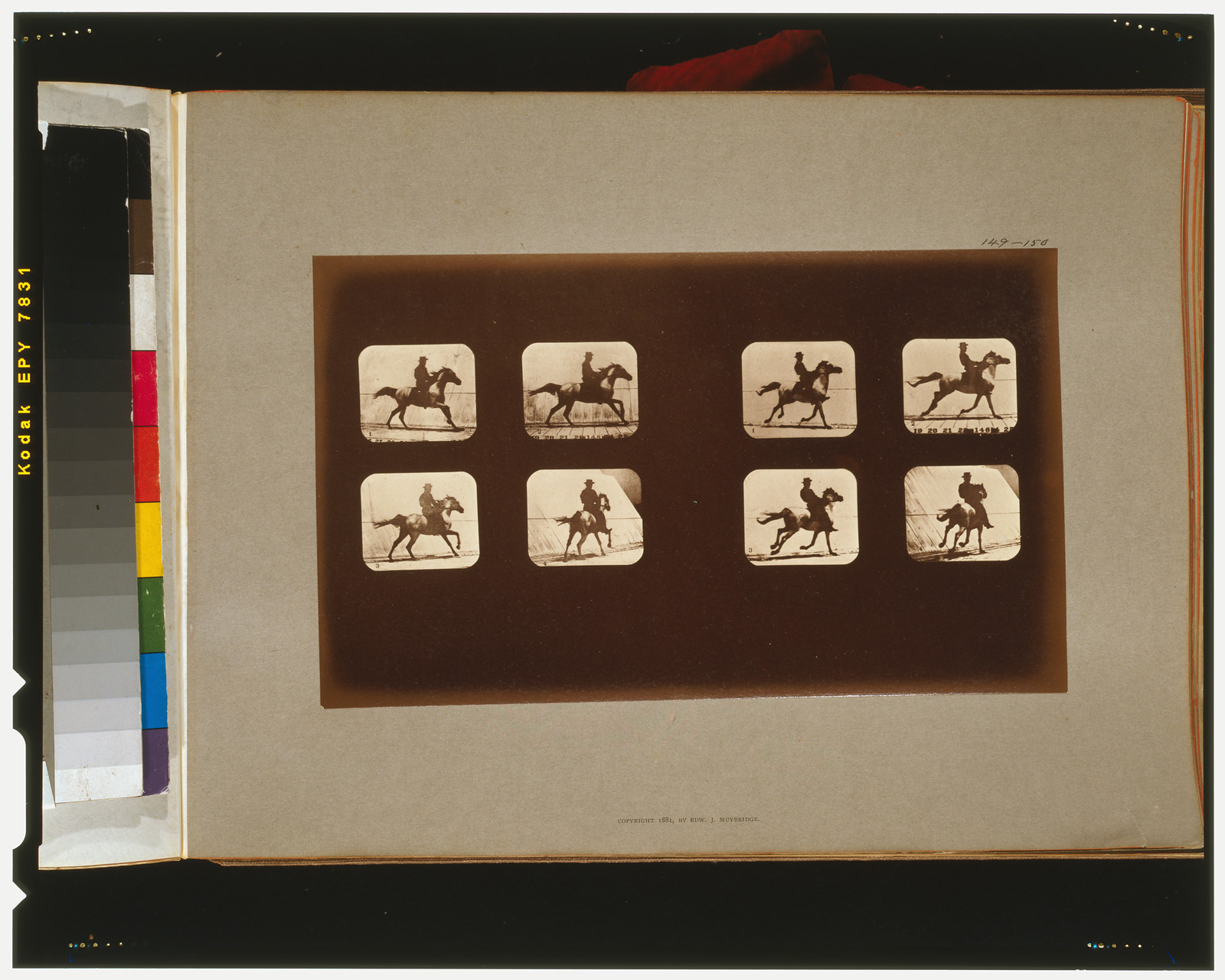 Horses. Running, [San Francisco] : Muybridge, c1881. — historic photograph