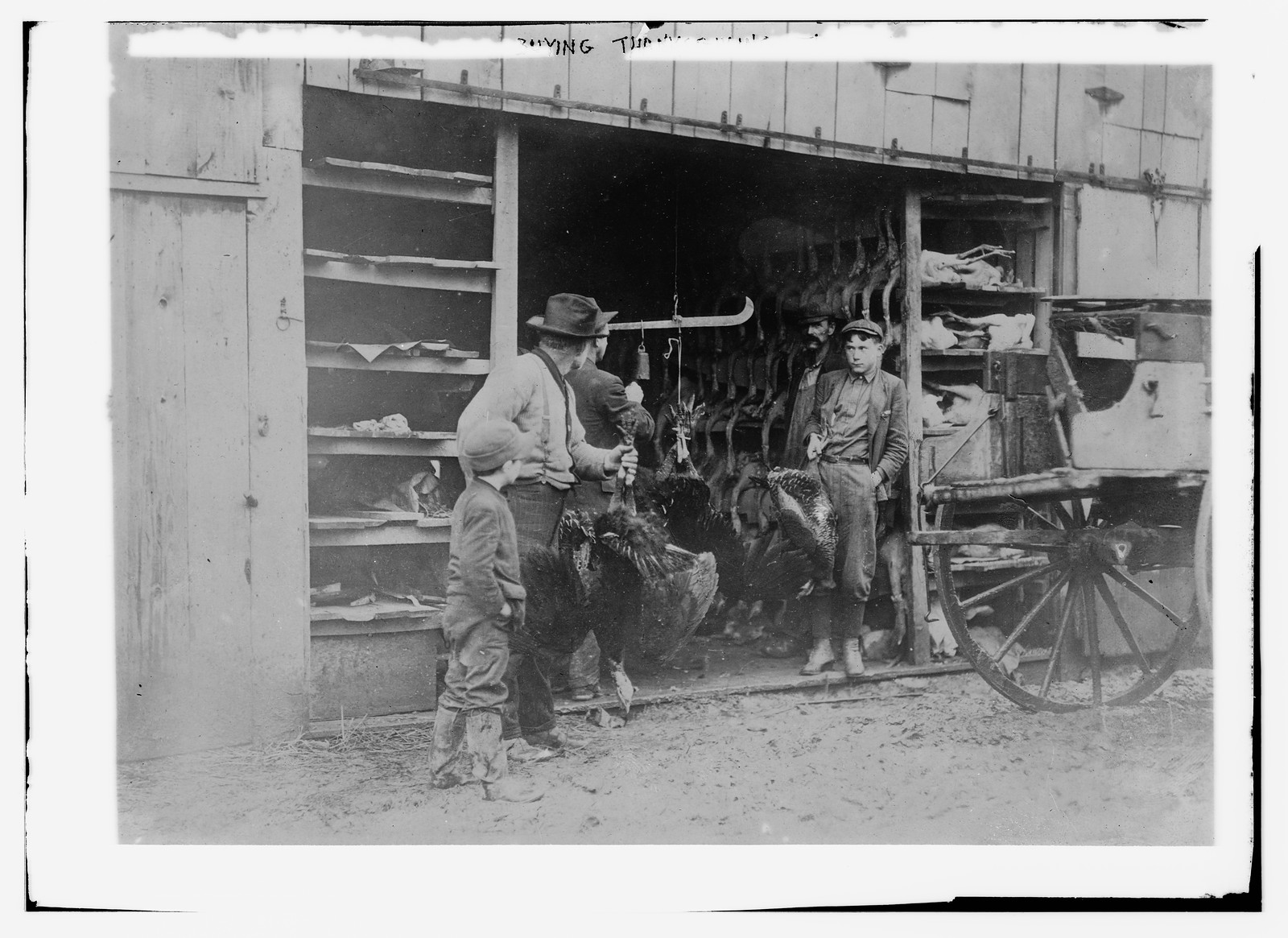 Buying Thanksgiving turkey, n/a — historic photograph