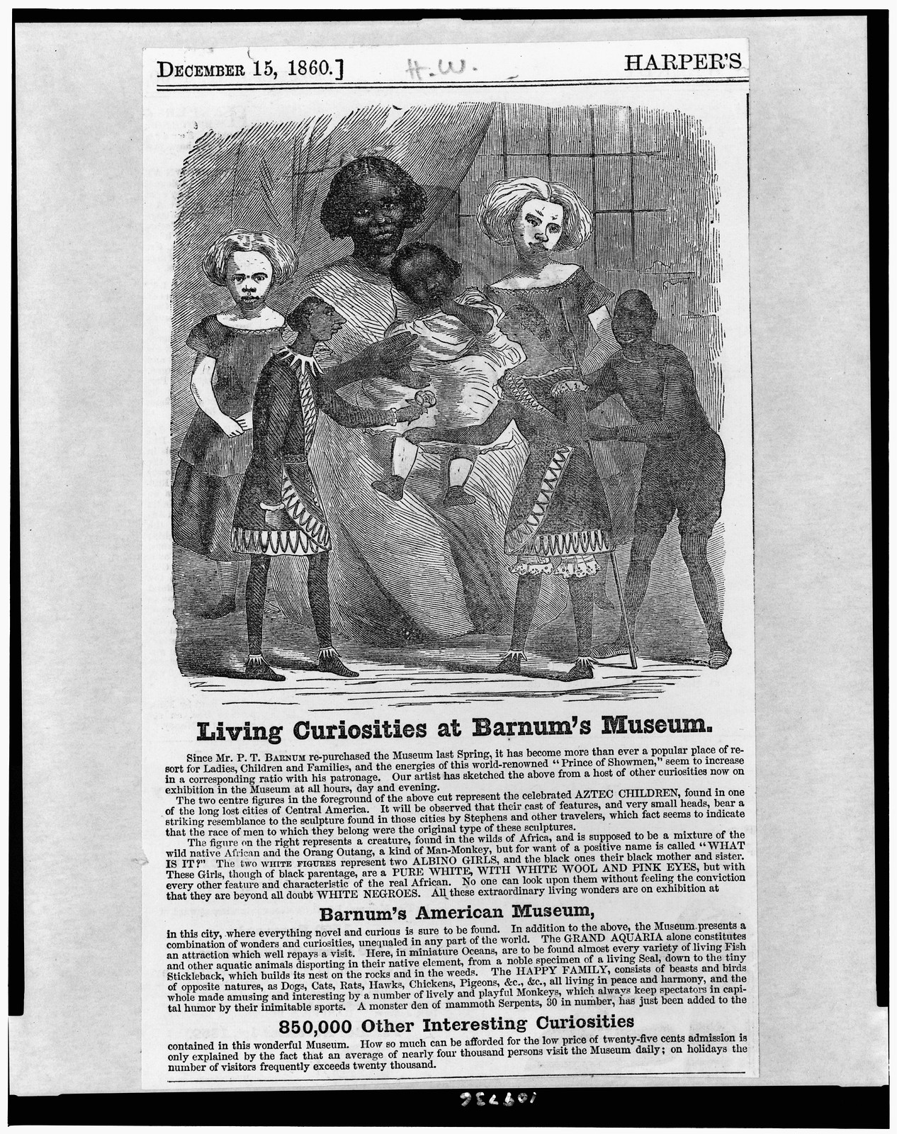 Living curiosities at Barnum's museum, 1860 — antique engraving