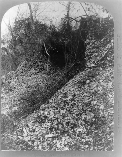 Florida-- the shell mounds--Ft. George Id. / Geo. Barker, photographer, Niagara Falls, N.Y.