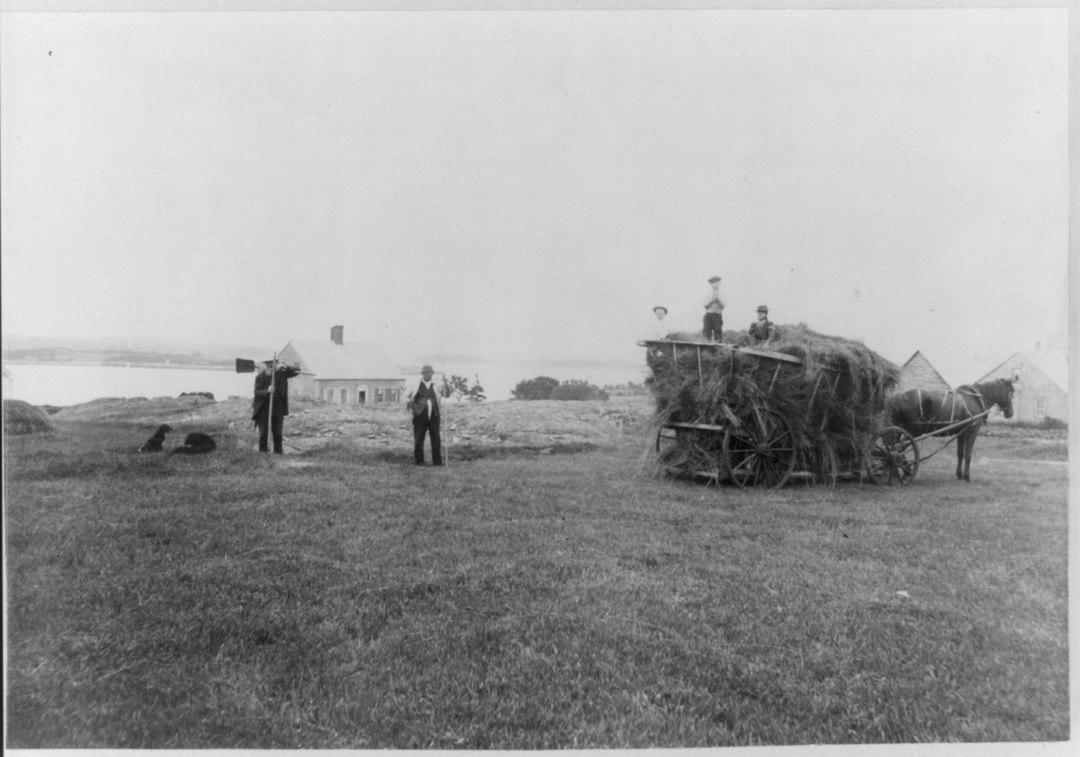 [Maine, 1888-1894: View of Passamaquoddy Bay, near Eastport] — historic photograph