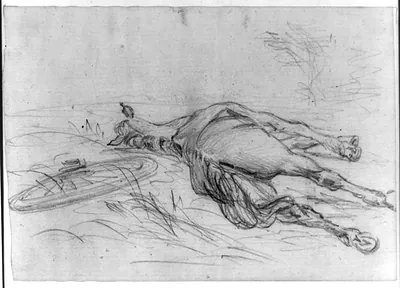 [Sketch of a dead horse]