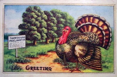 Thanksgiving greeting postcard with turkey and proclamation sign