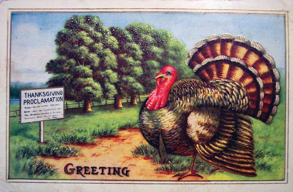 Thanksgiving greeting postcard with turkey and proclamation sign — vintage postcard