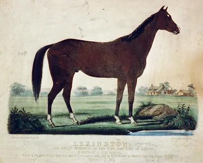 Lexington: the great monarch of the turf and sire of racers