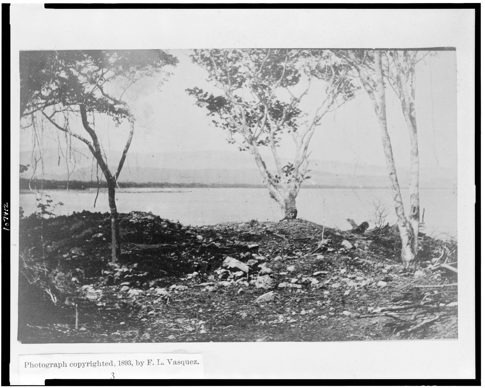 Isabella, site of first city in America, founded by Columbus, c1893. — historic photograph