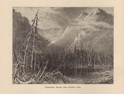 Tuckerman's Ravine, from Hermit's Lake