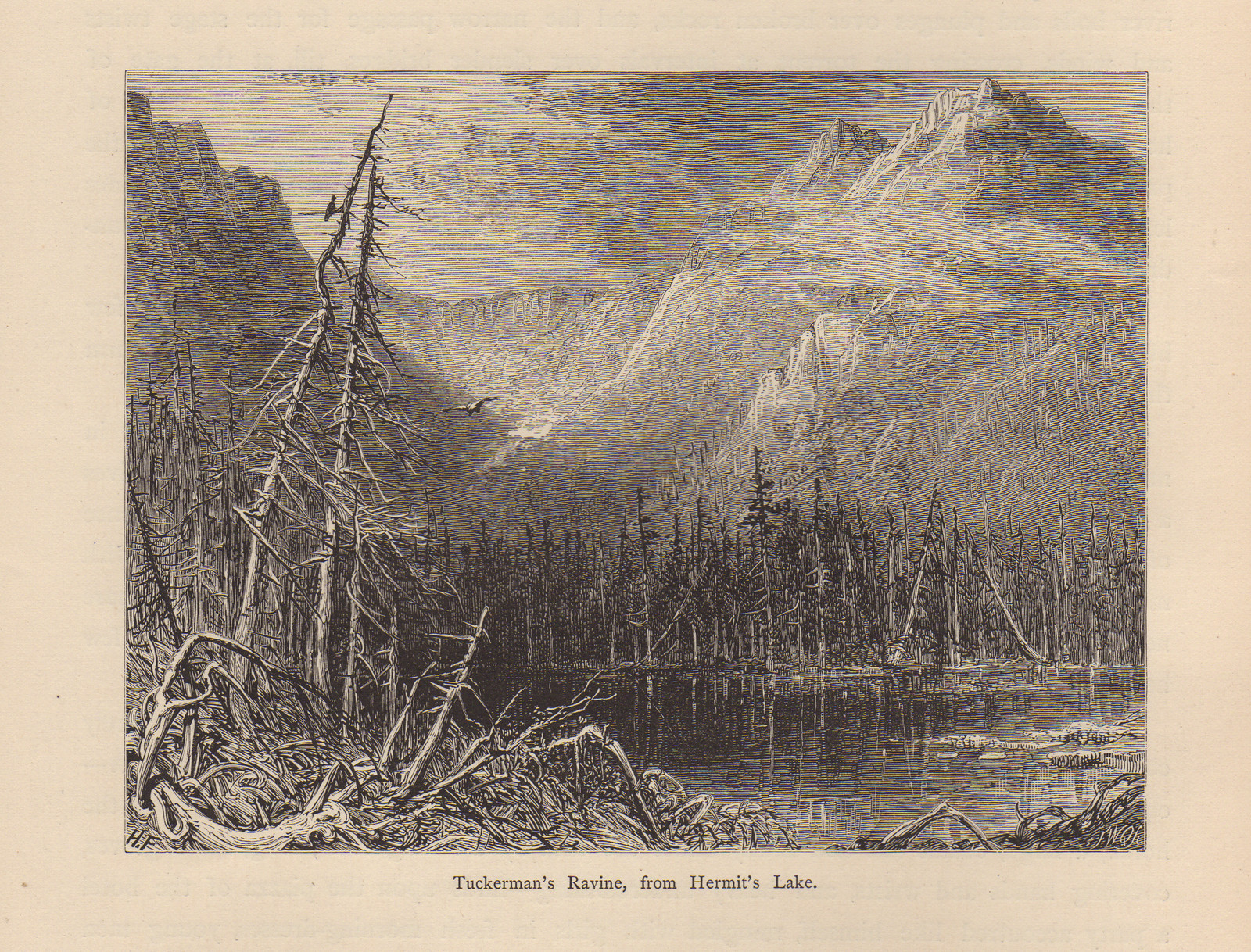 Tuckerman's Ravine, from Hermit's Lake — historic image