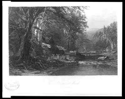 The Adirondack Woods / J.M. Hart N.A. ; R. Hinshelwood.