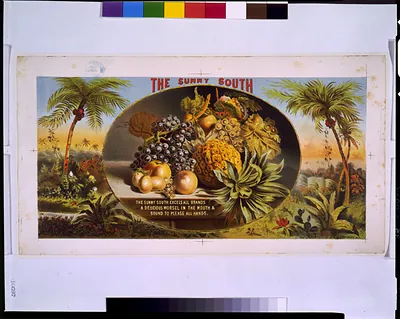The sunny South / The Graphic Co. lith., N.Y.