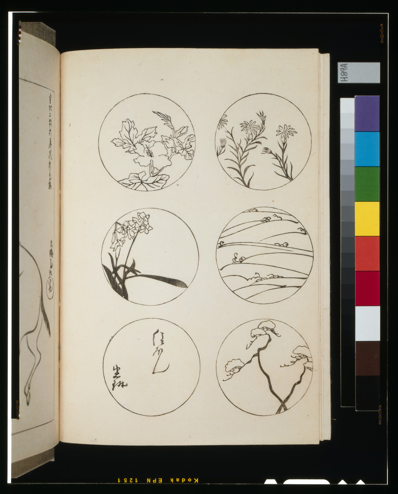 [Pattern designs for cotton summer kimonos], [not before 1815] — historic print