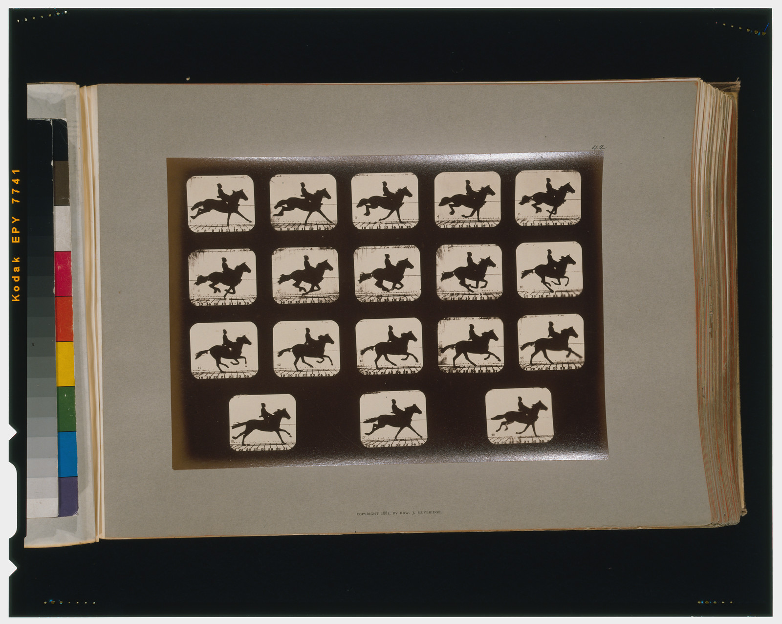 Horses. Running, [San Francisco] : Muybridge, c1881. — historic photograph