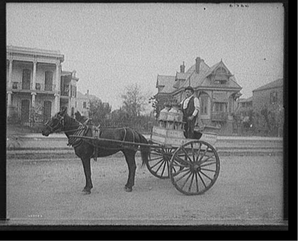 [New Orleans milk cart, New Orleans, Louisiana], [between 1900 and 1910] — historic photograph