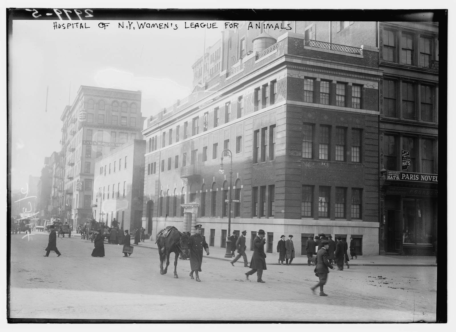 Hospital of N.Y. Women's League for Animals, n/a — historic photograph