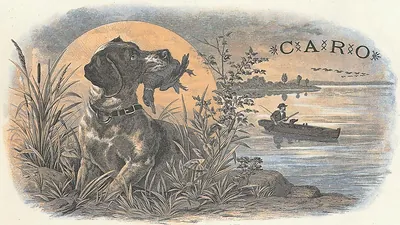 Pointer dog holding a duck, with a fisherman in a boat