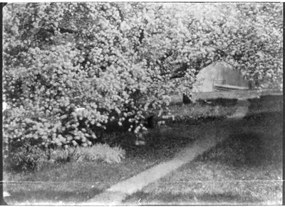 Pinhole landscape