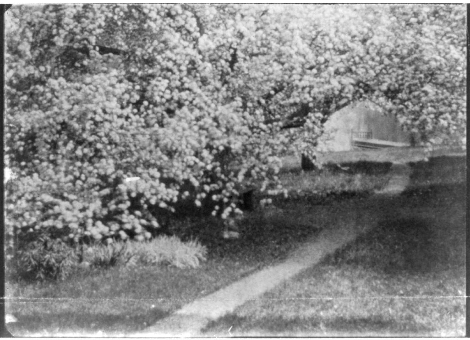 Pinhole landscape, [no date recorded on caption card] — historic photograph