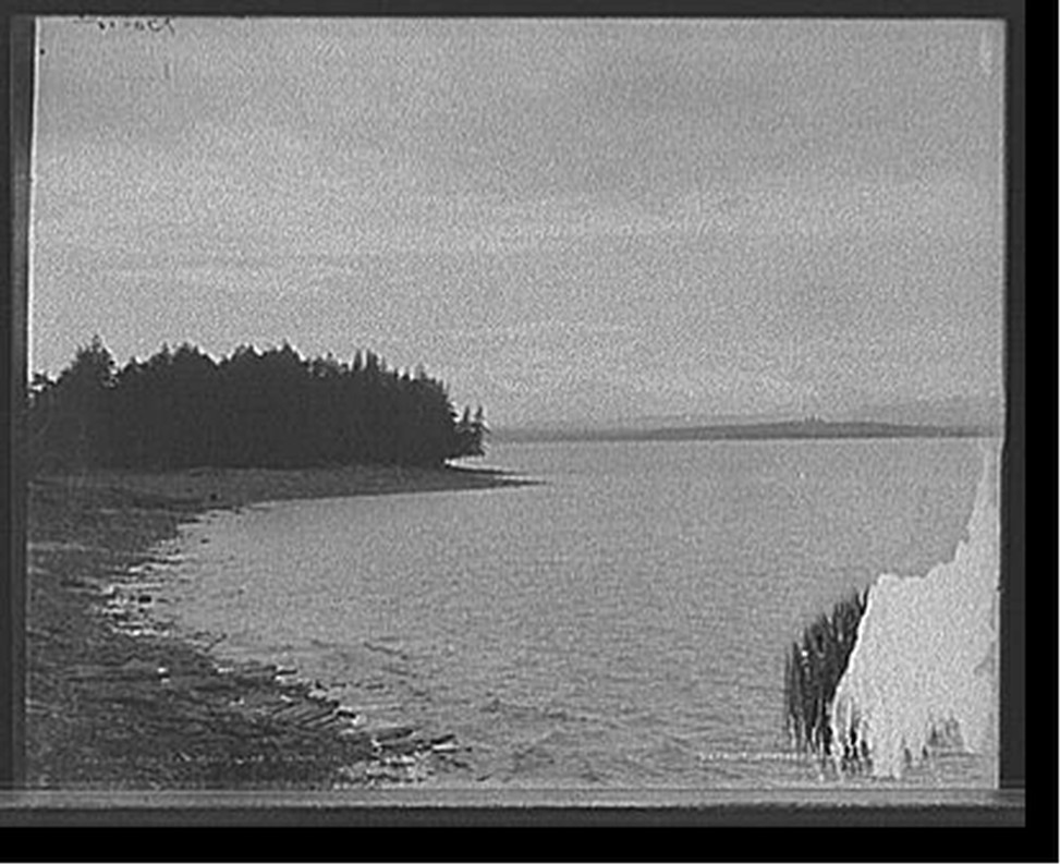 Wilcox's [i.e. Wilcox] Point, Lake Champlain, [between 1900 and 1905] — historic photograph