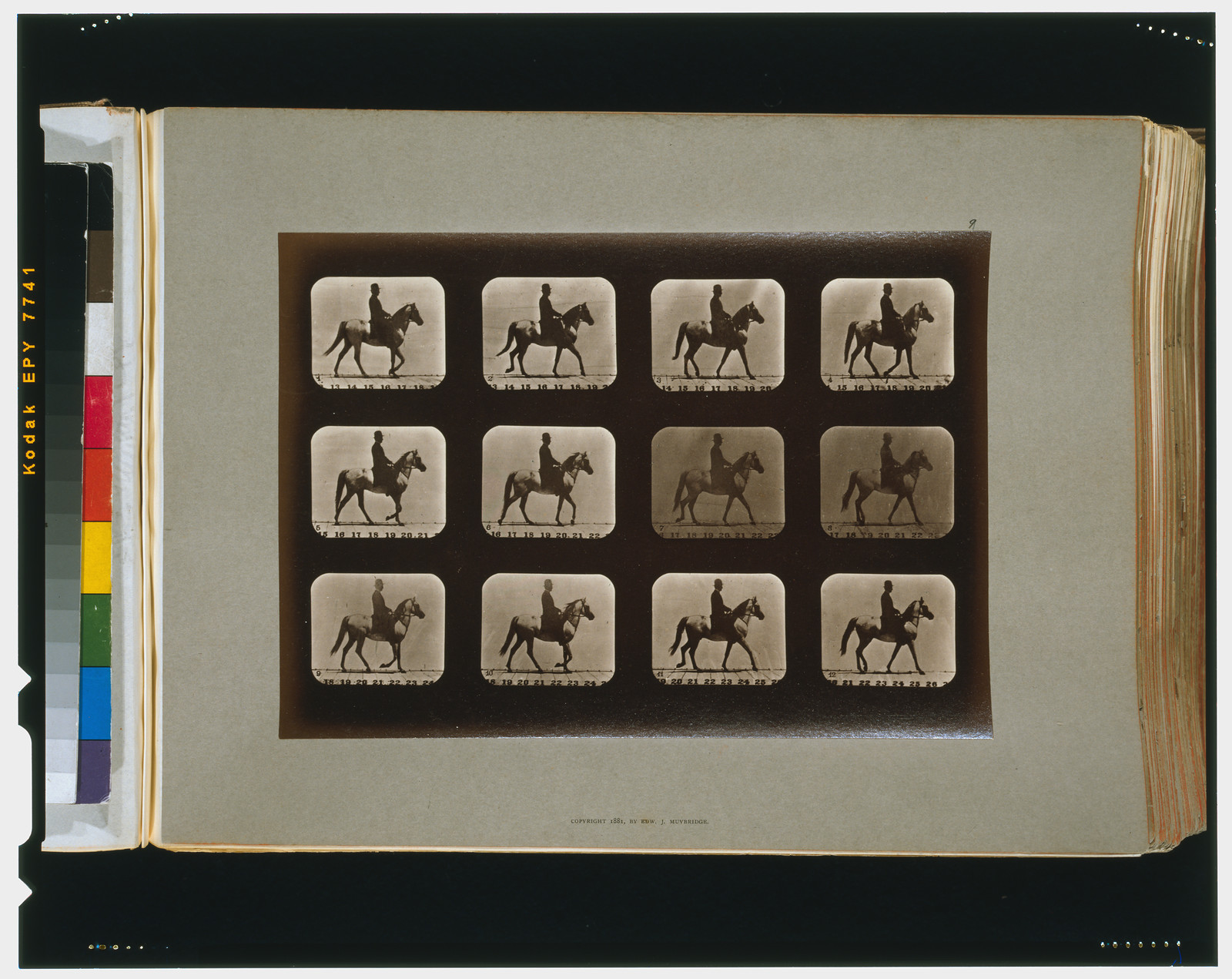 Horses. Walking, [San Francisco] : Muybridge, c1881. — historic photograph