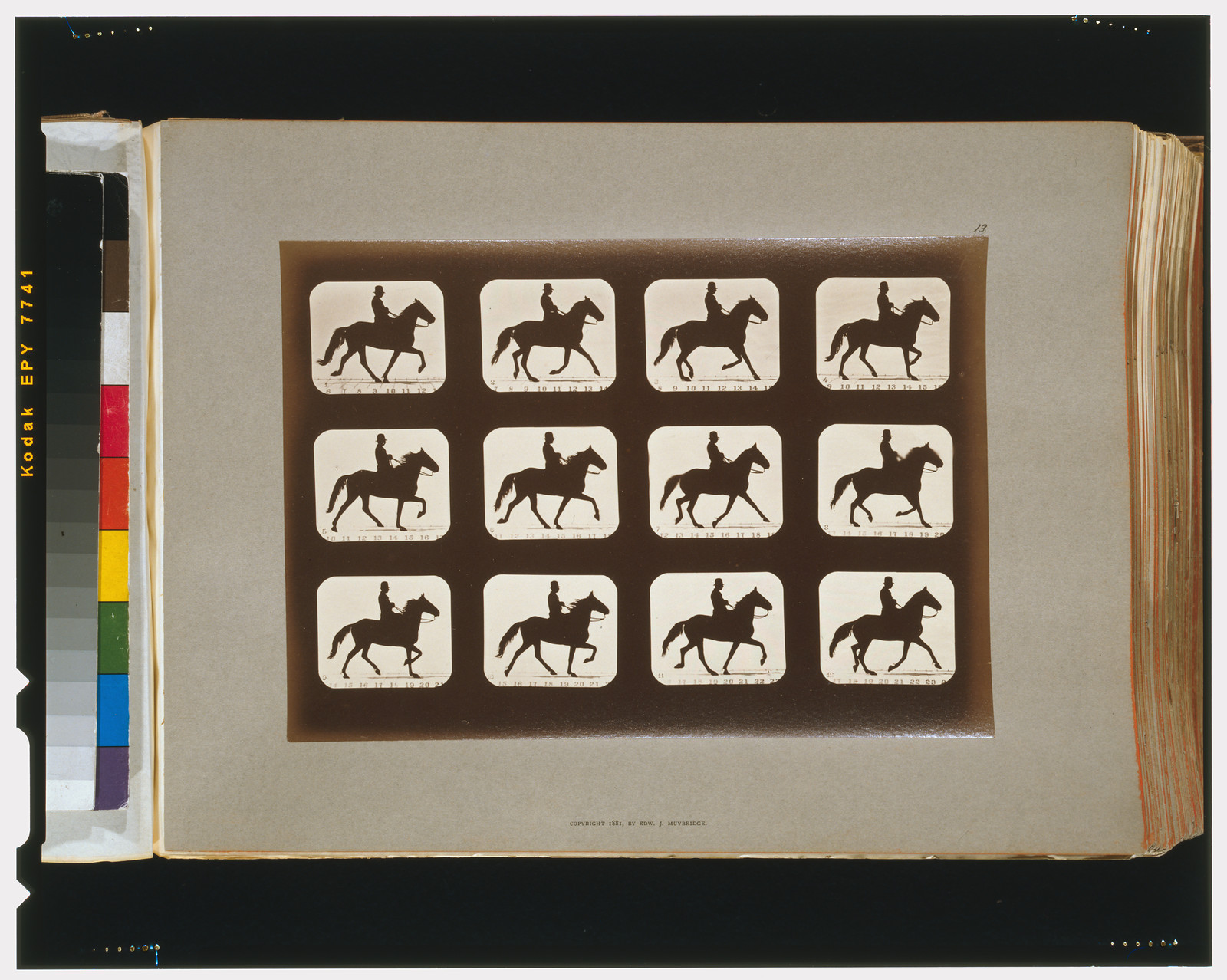 Horses. Ambling or single foot, [San Francisco] : Muybridge, c1881. — historic photograph