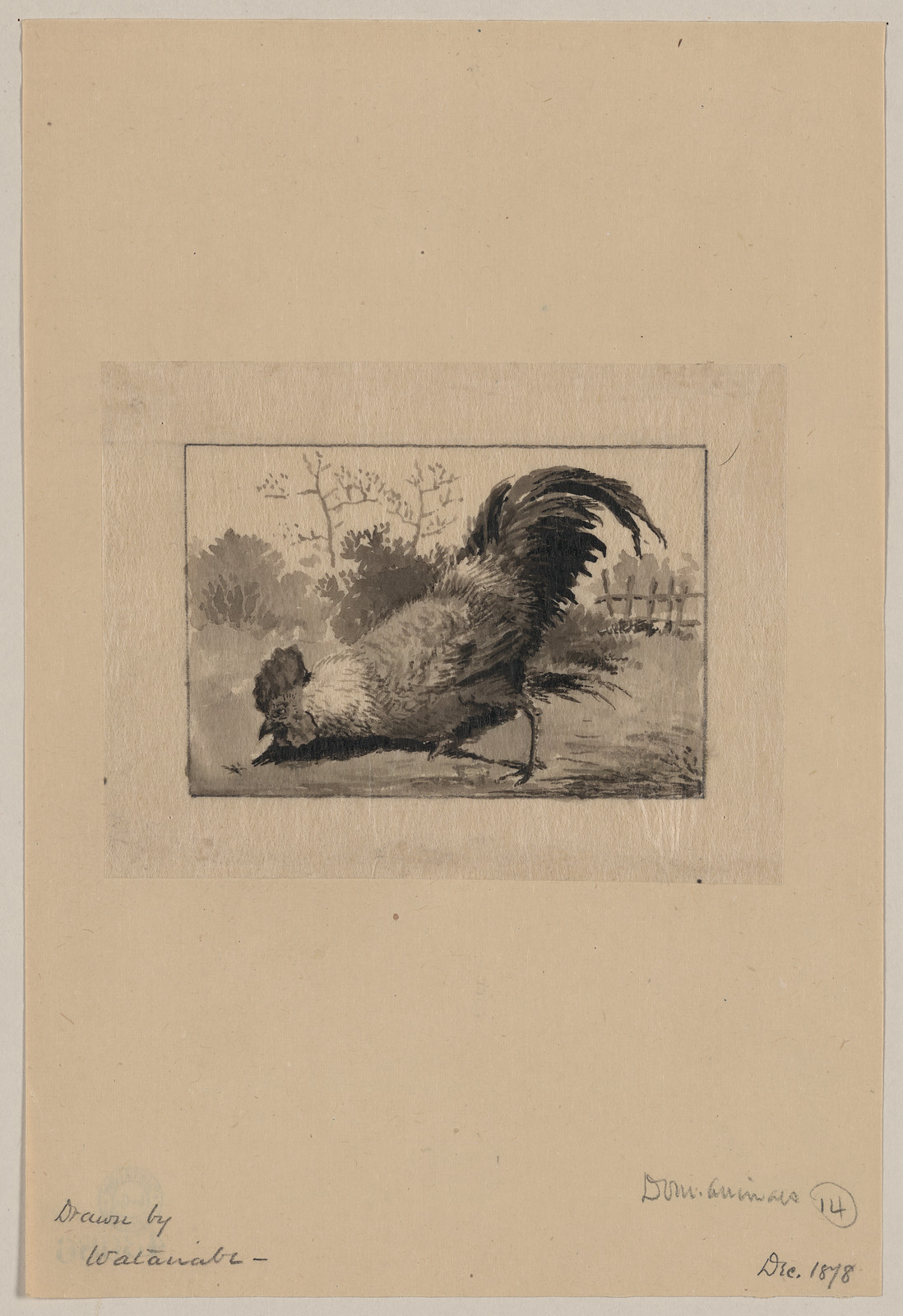 [Japanese drawing], 1750 — historic drawing