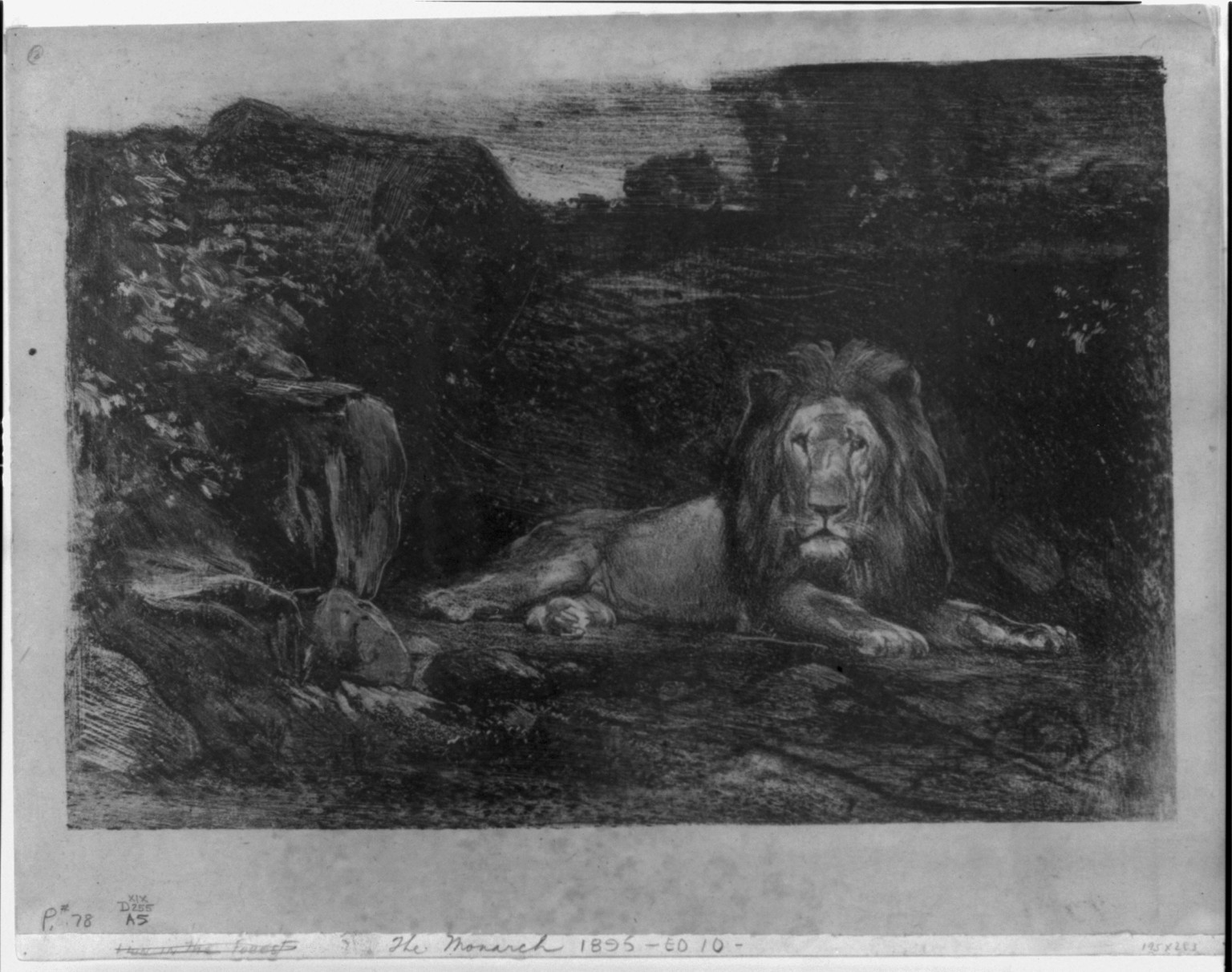 The monarch, [before 1893] — antique lithograph