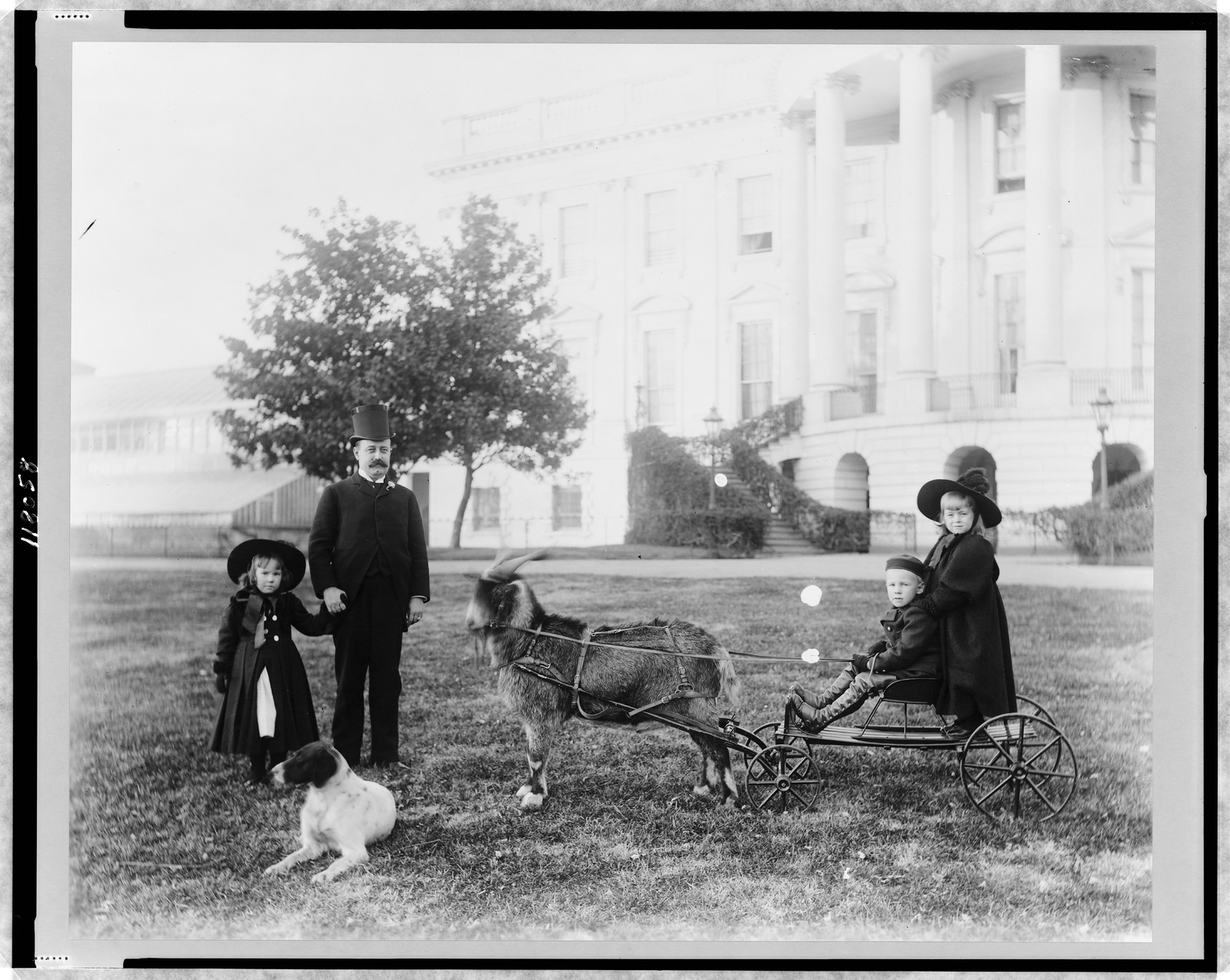 White House--Major Russell Harrison and Harrison children--Baby McKee and sister on goat cart, [between 1889 and 1893] — historic photograph