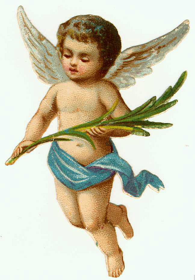 Cherub with palm frond and blue drape — historic image