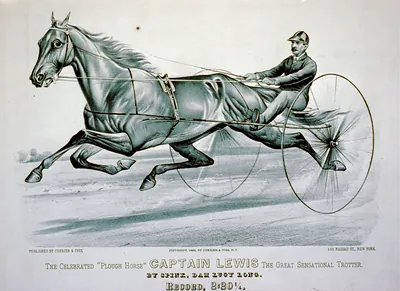 Vintage Americana Print - Celebrated Plough horse Captain Lewis
