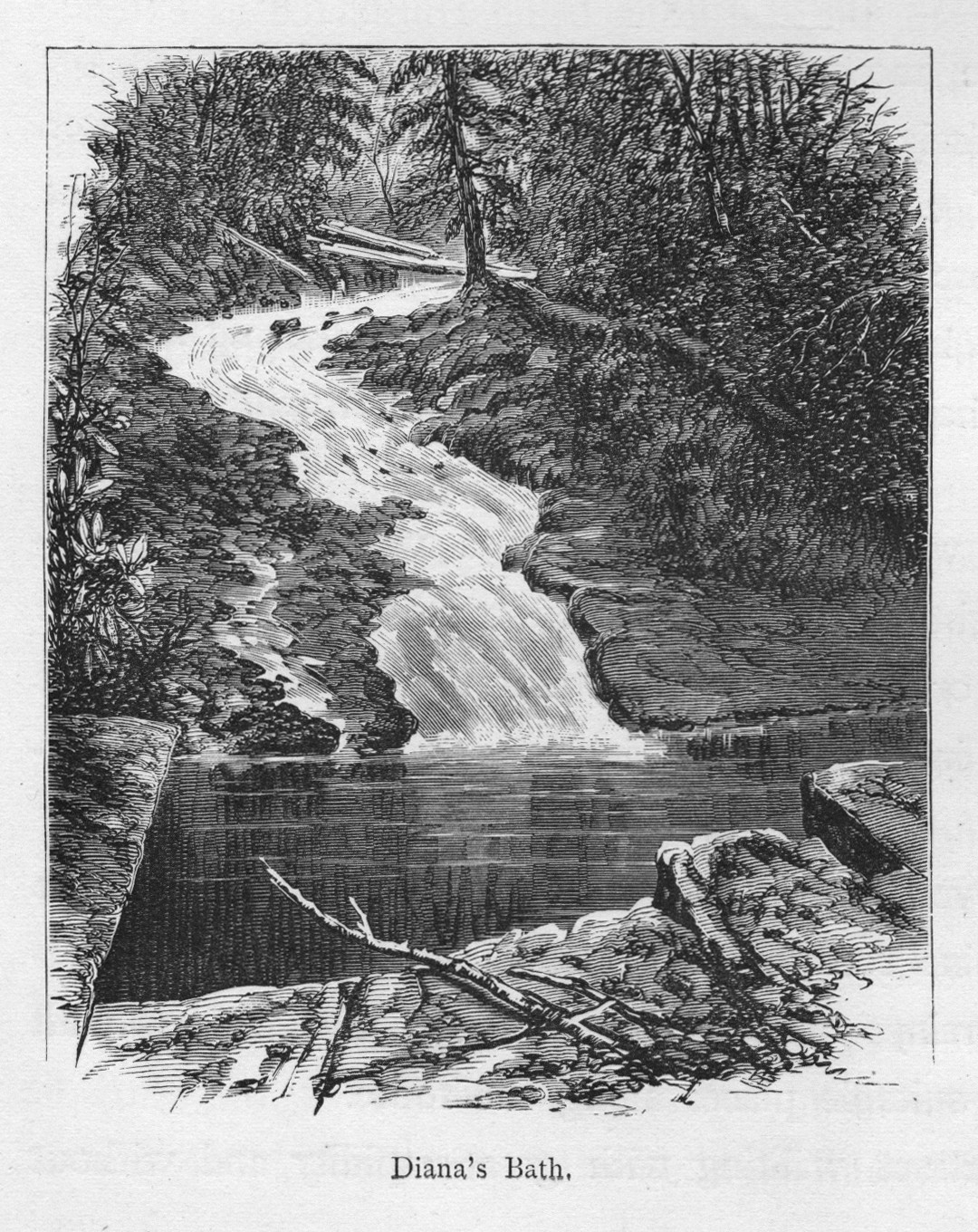Diana's Bath, a woodcut engraving of a forest waterfall — antique engraving