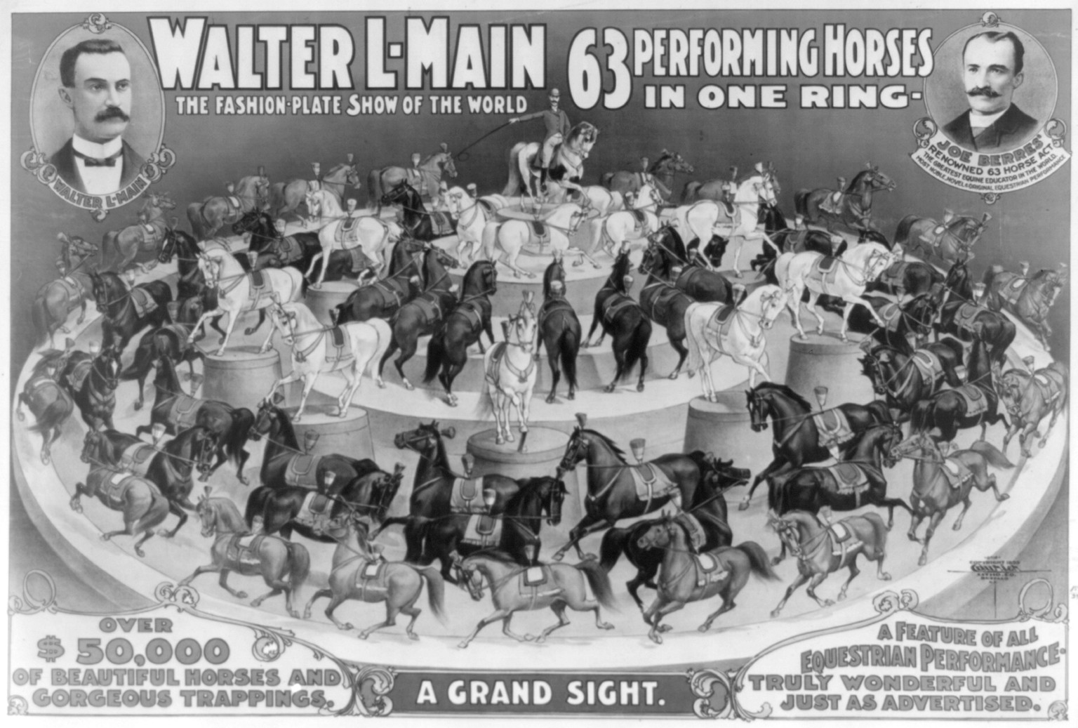 Walter L-Main - 63 Performing horses in one Ring, Buffalo : Courier Litho. Co., c1899. — vintage poster